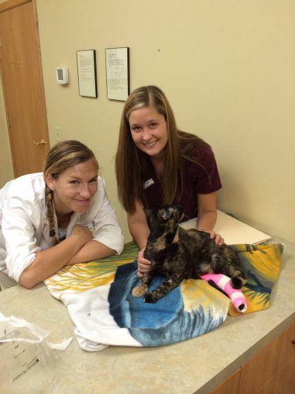 The wonderful ladies that took care of me at Life Care Animal Hospital